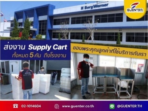 เหล็กตัด17